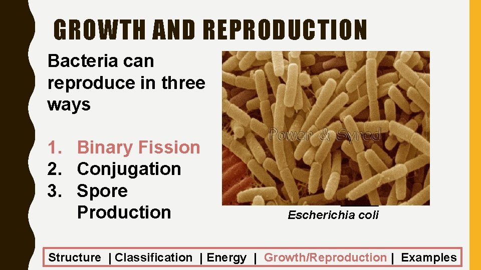 GROWTH AND REPRODUCTION Bacteria can reproduce in three ways 1. Binary Fission 2. Conjugation