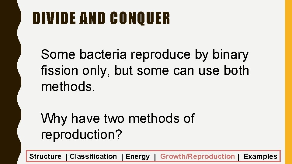 DIVIDE AND CONQUER Some bacteria reproduce by binary fission only, but some can use