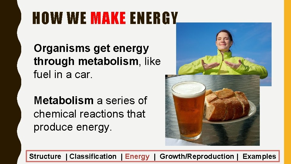 HOW WE MAKE ENERGY Organisms get energy through metabolism, like fuel in a car.