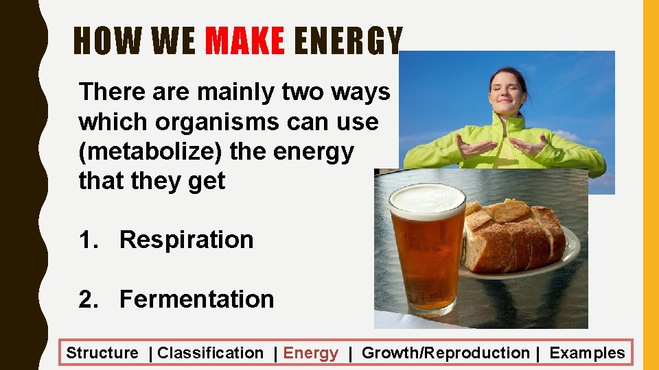 HOW WE MAKE ENERGY There are mainly two ways which organisms can use (metabolize)