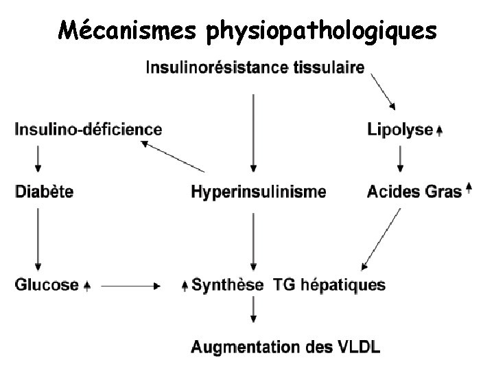 Mécanismes physiopathologiques 