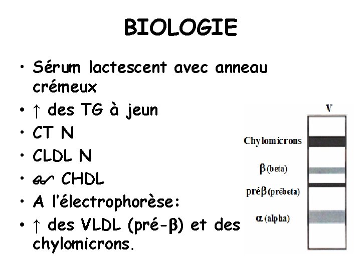 BIOLOGIE • Sérum lactescent avec anneau crémeux • ↑ des TG à jeun •