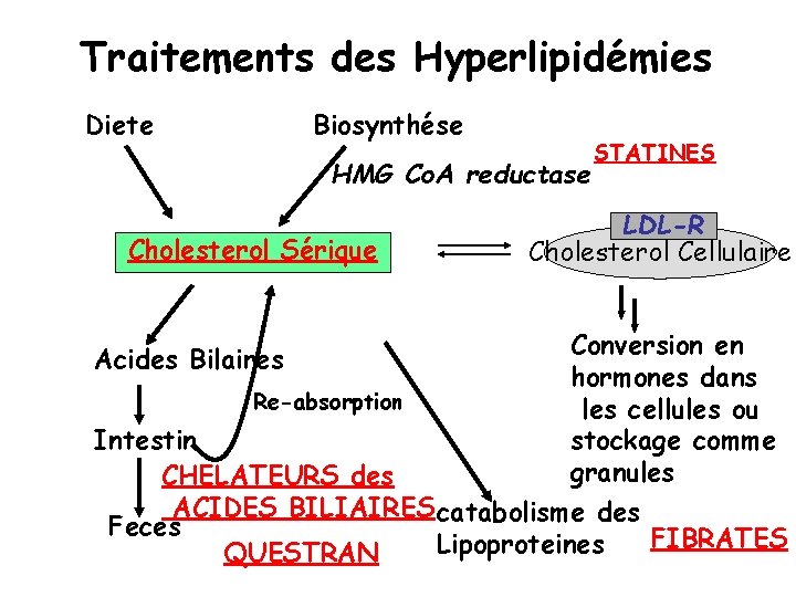 Traitements des Hyperlipidémies Diete Biosynthése HMG Co. A reductase Cholesterol Sérique STATINES LDL-R Cholesterol