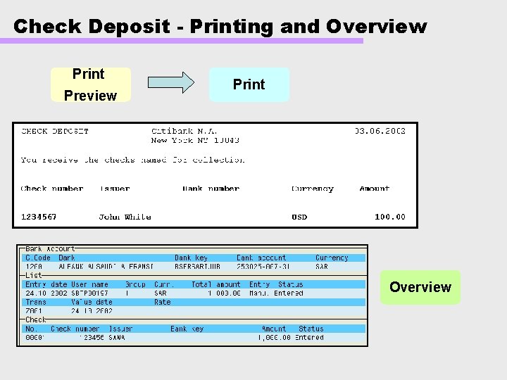 Check Deposit - Printing and Overview Print Preview Print Overview 