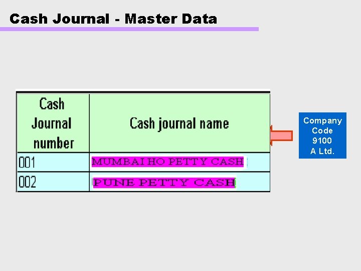 Cash Journal - Master Data Company Code 9100 A Ltd. 