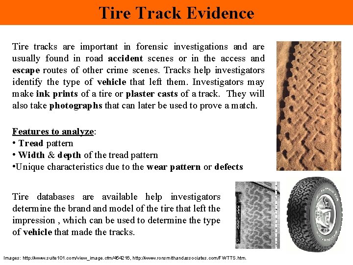 Tire Track Evidence Tire tracks are important in forensic investigations and are usually found Tire Track Evidence Tire tracks are important in forensic investigations and are usually found