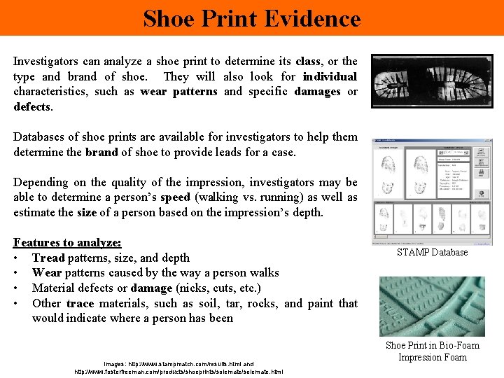 Shoe Print Evidence Investigators can analyze a shoe print to determine its class, or Shoe Print Evidence Investigators can analyze a shoe print to determine its class, or