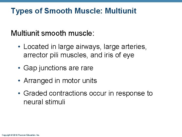 Types of Smooth Muscle: Multiunit smooth muscle: • Located in large airways, large arteries,