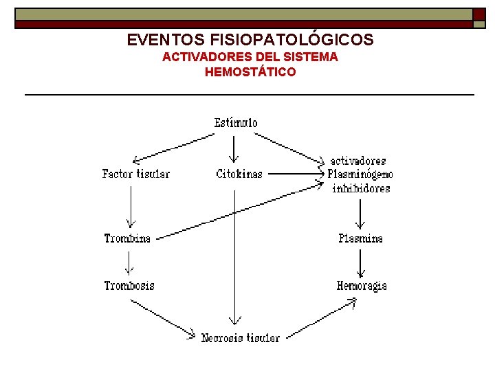 EVENTOS FISIOPATOLÓGICOS ACTIVADORES DEL SISTEMA HEMOSTÁTICO 