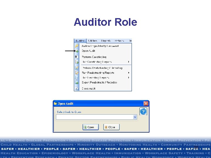 Auditor Role 30 Auditor Role 30