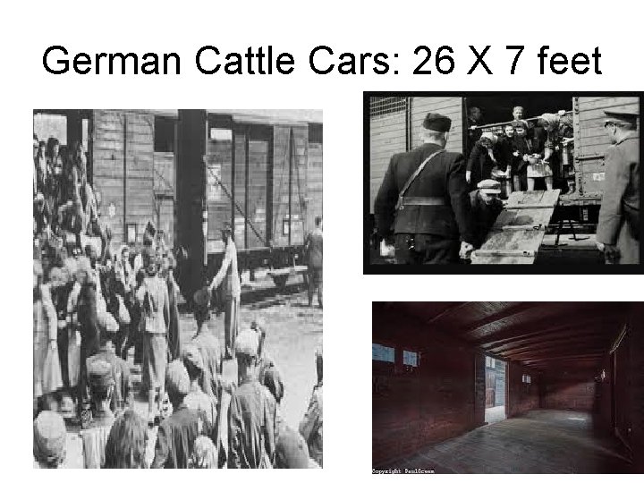 German Cattle Cars: 26 X 7 feet 