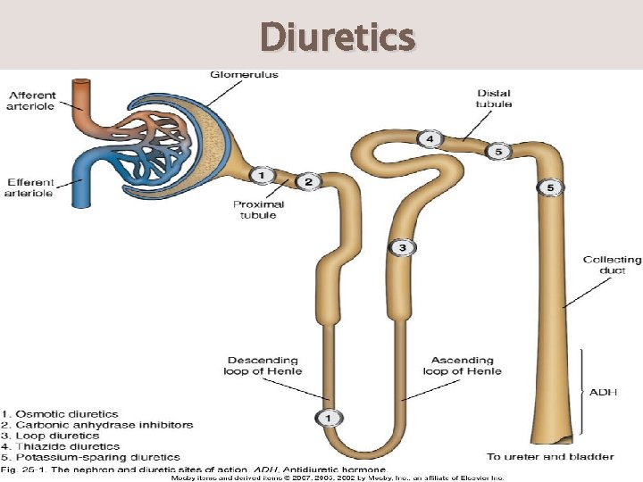 Diuretics 