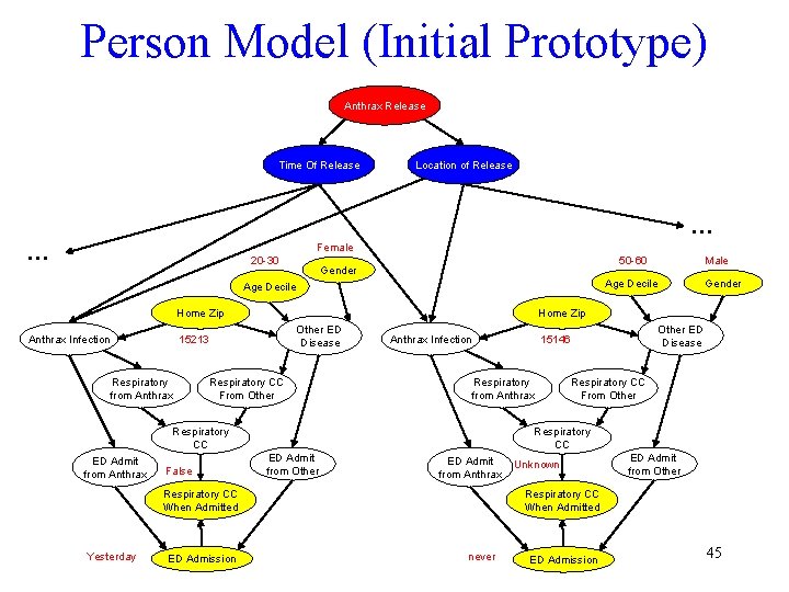 Person Model (Initial Prototype) Anthrax Release Time Of Release Location of Release … Female