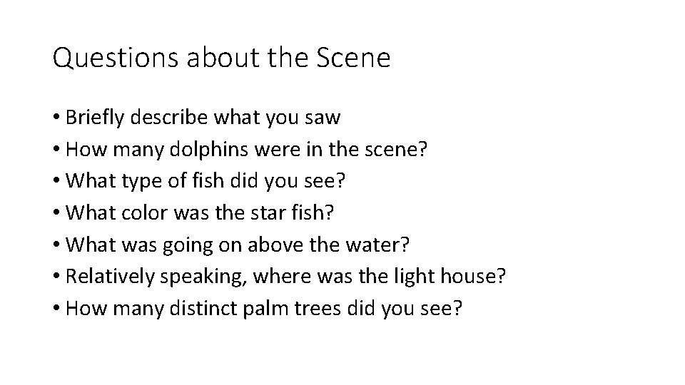 Questions about the Scene • Briefly describe what you saw • How many dolphins