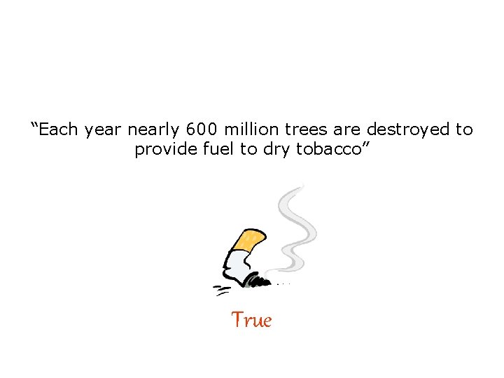 “Each year nearly 600 million trees are destroyed to provide fuel to dry tobacco”
