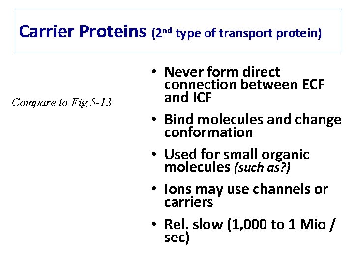 Carrier Proteins (2 nd type of transport protein) Compare to Fig 5 -13 •