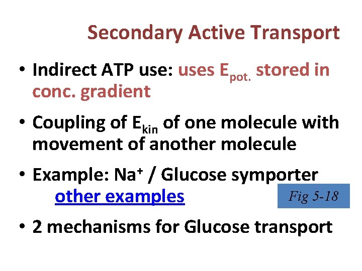 Secondary Active Transport • Indirect ATP use: uses Epot. stored in conc. gradient •