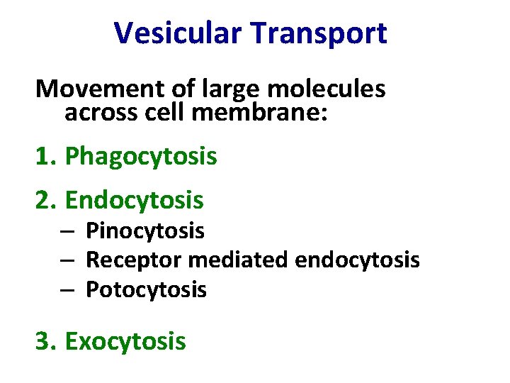 Vesicular Transport Movement of large molecules across cell membrane: 1. Phagocytosis 2. Endocytosis –