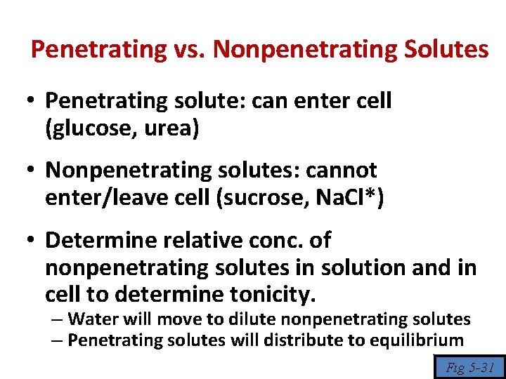 Penetrating vs. Nonpenetrating Solutes • Penetrating solute: can enter cell (glucose, urea) • Nonpenetrating