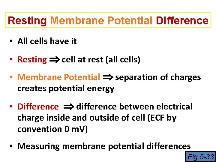 Resting Membrane Potential Difference • All cells have it • Resting cell at rest