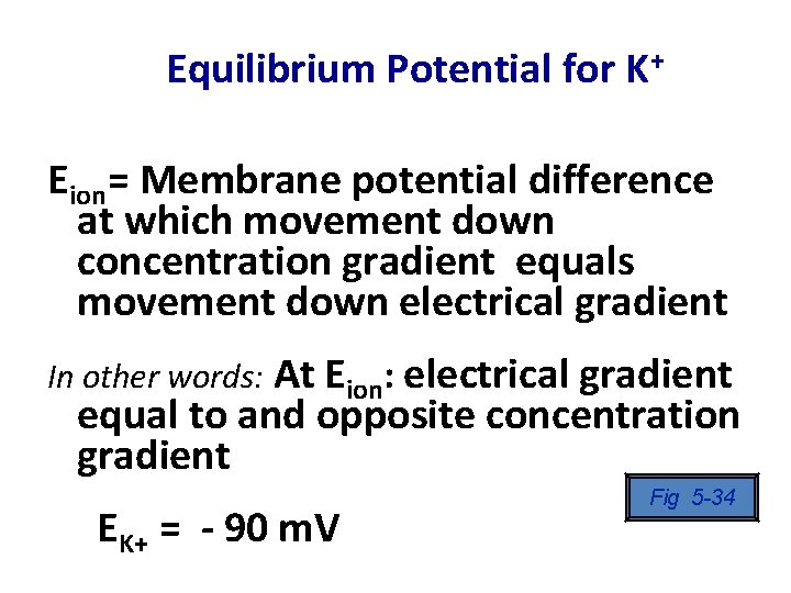 Equilibrium Potential for K+ Eion= Membrane potential difference at which movement down concentration gradient