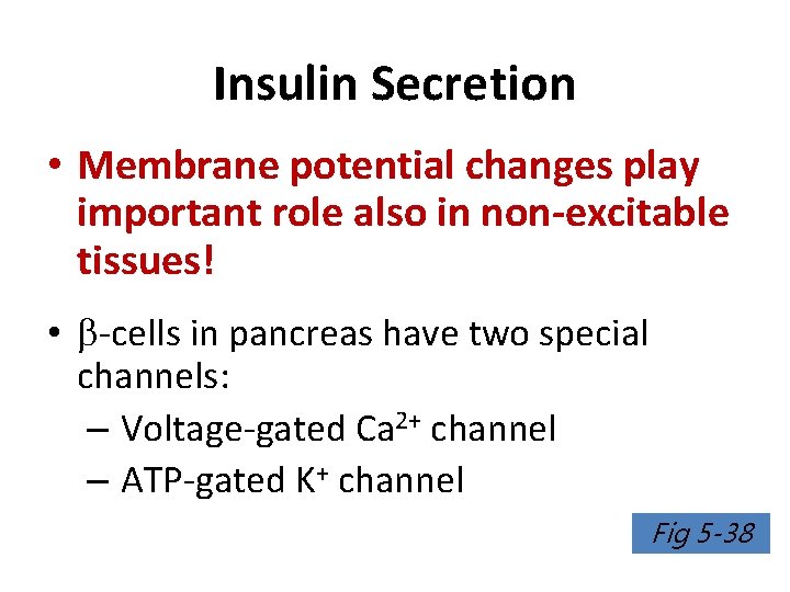 Insulin Secretion • Membrane potential changes play important role also in non-excitable tissues! •