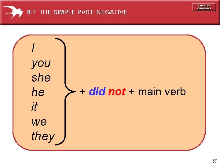 8 -7 THE SIMPLE PAST: NEGATIVE I you she he it we they +