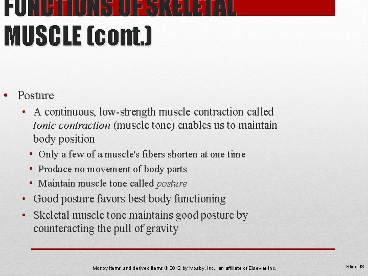FUNCTIONS OF SKELETAL MUSCLE (cont. ) • Posture • A continuous, low-strength muscle contraction