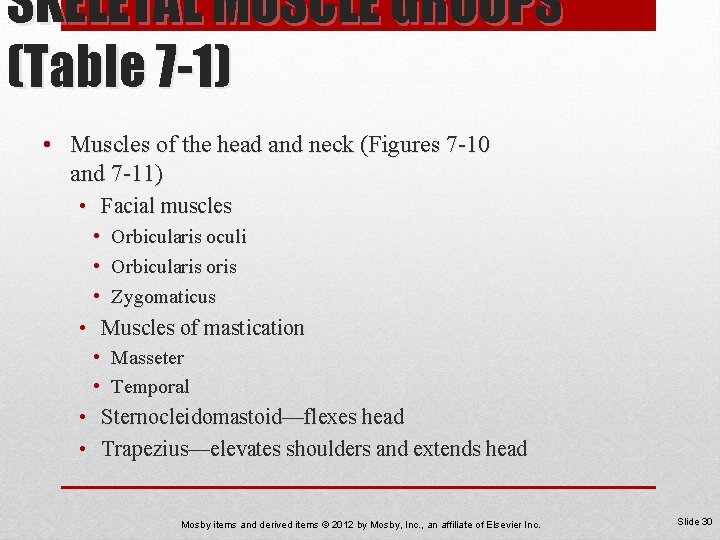 SKELETAL MUSCLE GROUPS (Table 7 -1) • Muscles of the head and neck (Figures