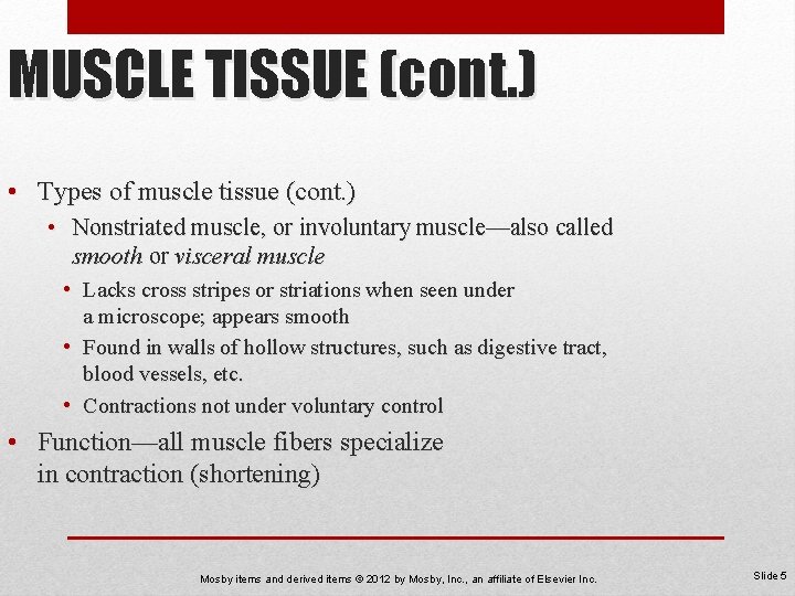 MUSCLE TISSUE (cont. ) • Types of muscle tissue (cont. ) • Nonstriated muscle,