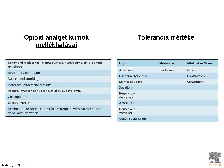 Opioid analgetikumok mellékhatásai Katzung, 12 th Ed. Tolerancia mértéke 