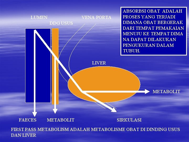 LUMEN VENA PORTA DDG USUS ABSORBSI OBAT ADALAH PROSES YANG TERJADI DIMANA OBAT BERGERAK