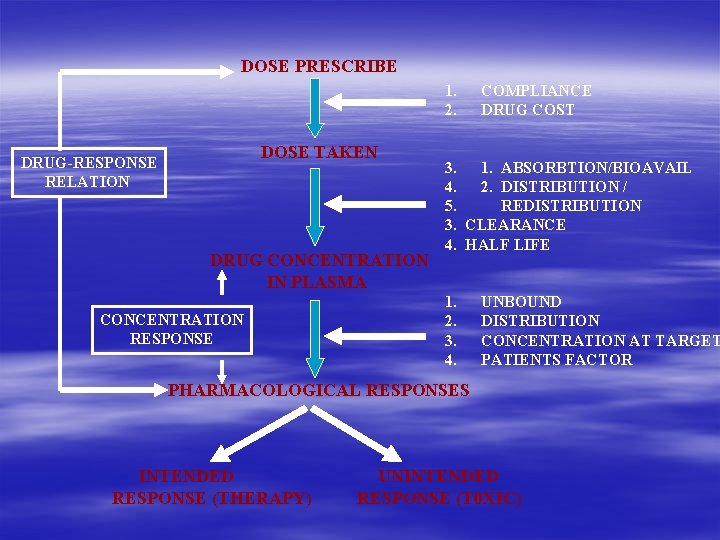 DOSE PRESCRIBE 1. 2. DOSE TAKEN DRUG-RESPONSE RELATION DRUG CONCENTRATION IN PLASMA CONCENTRATION RESPONSE