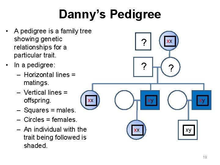 Danny’s Pedigree • A pedigree is a family tree showing genetic relationships for a