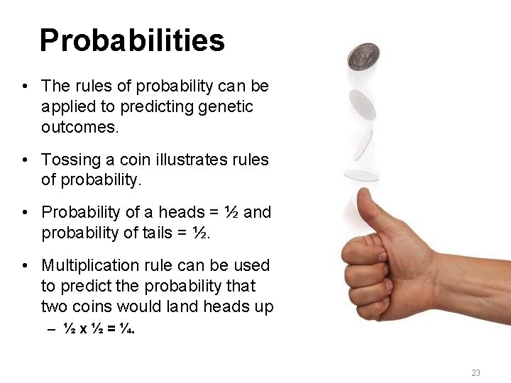 Probabilities • The rules of probability can be applied to predicting genetic outcomes. •
