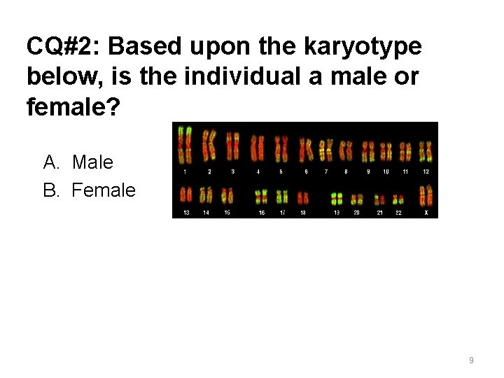 CQ#2: Based upon the karyotype below, is the individual a male or female? A.