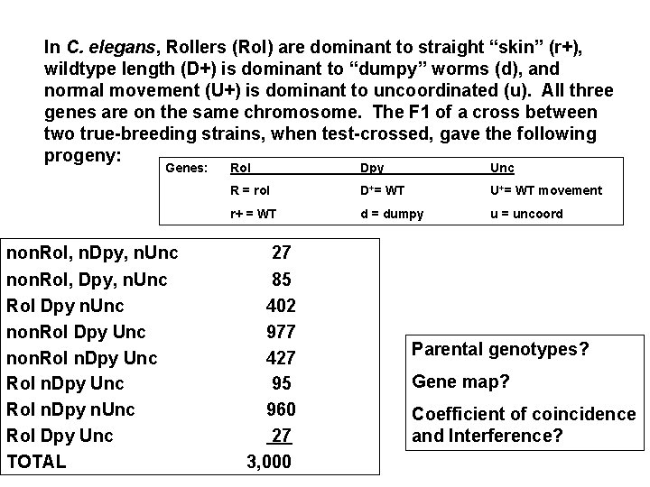 In C. elegans, Rollers (Rol) are dominant to straight “skin” (r+), wildtype length (D+)