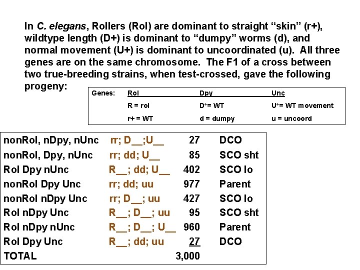 In C. elegans, Rollers (Rol) are dominant to straight “skin” (r+), wildtype length (D+)