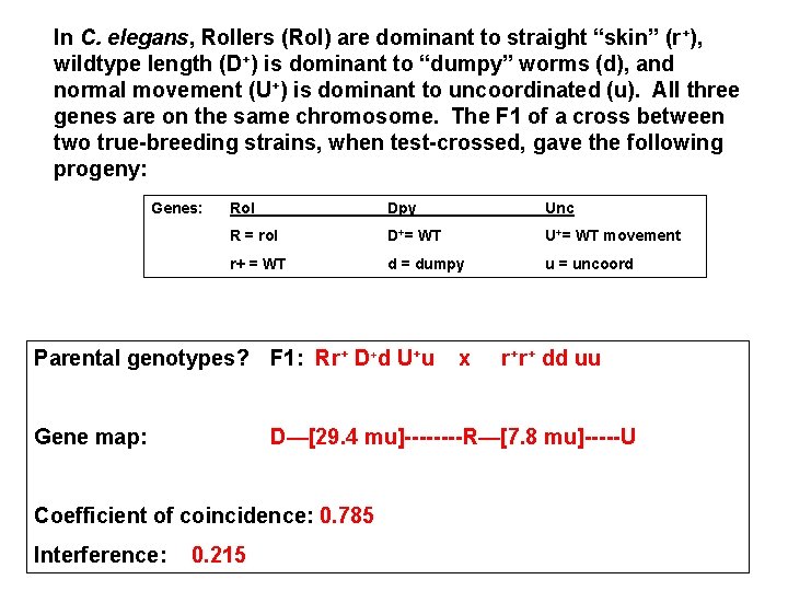 In C. elegans, Rollers (Rol) are dominant to straight “skin” (r+), wildtype length (D+)