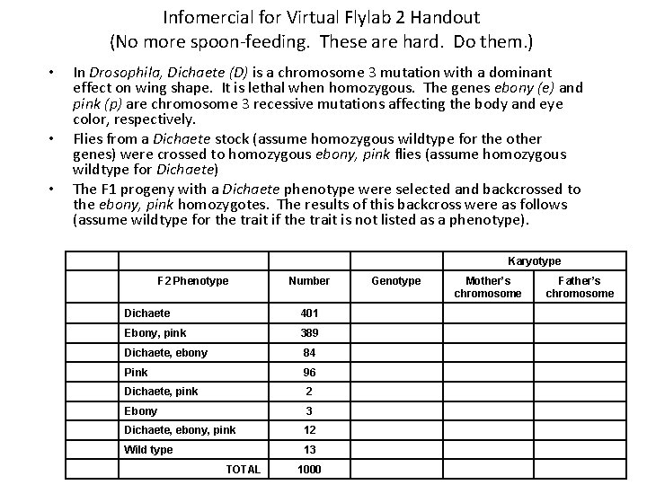 Infomercial for Virtual Flylab 2 Handout (No more spoon-feeding. These are hard. Do them.
