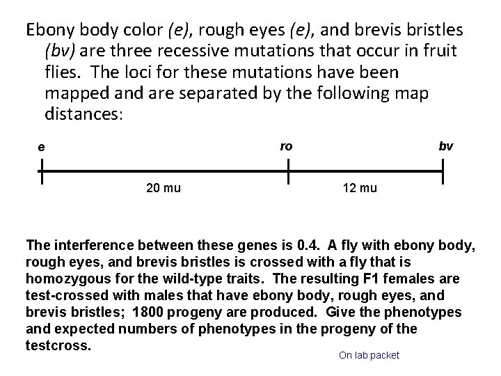 Ebony body color (e), rough eyes (e), and brevis bristles (bv) are three recessive