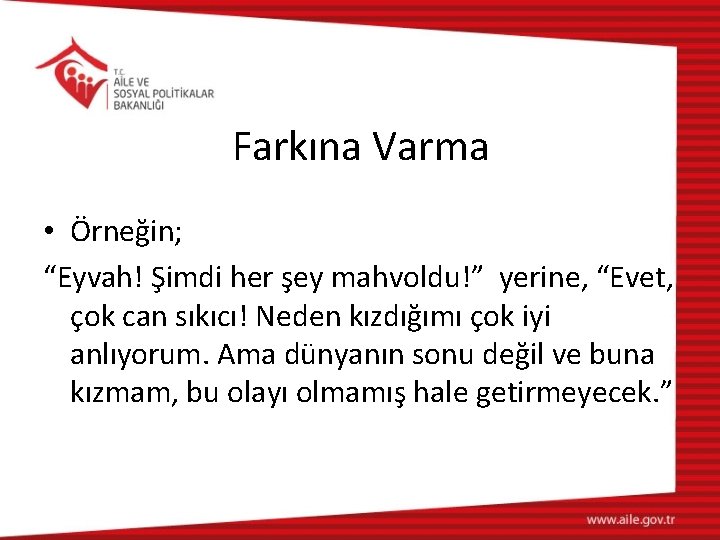 Farkına Varma • Örneğin; “Eyvah! Şimdi her şey mahvoldu!” yerine, “Evet, çok can sıkıcı!