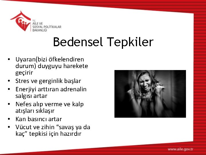 Bedensel Tepkiler • Uyaran(bizi öfkelendiren durum) duyguyu harekete geçirir • Stres ve gerginlik başlar