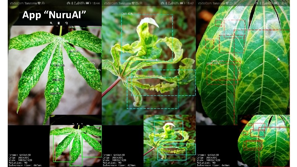 App “Nuru. AI” 