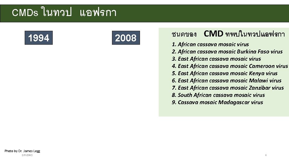 CMDs ในทวป แอฟรกา 1994 Photo by Dr. James Legg 2/11/2563 2008 ชนดของ CMD ทพบในทวปแอฟรกา