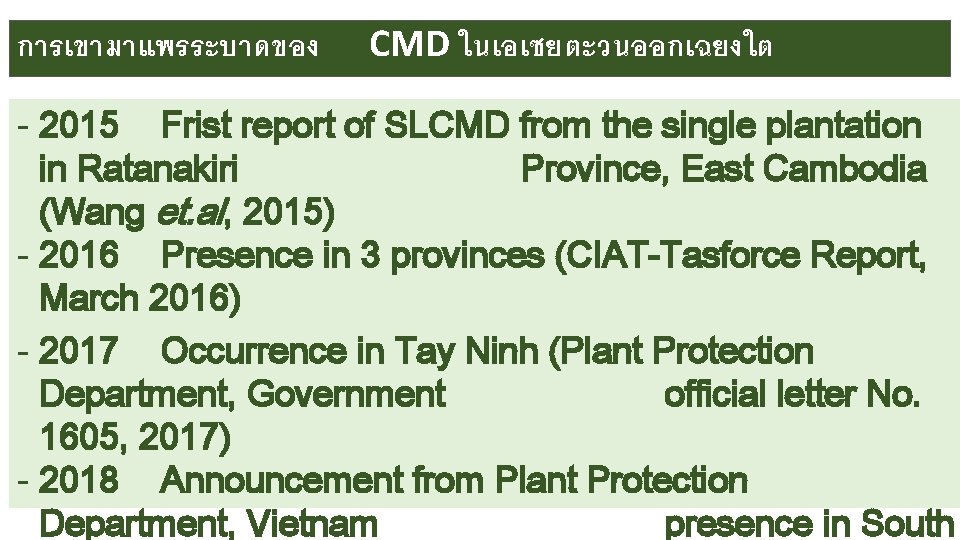 การเขามาแพรระบาดของ CMD ในเอเซยตะวนออกเฉยงใต - 2015 Frist report of SLCMD from the single plantation in