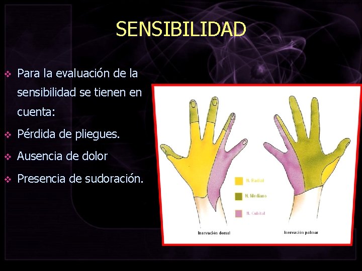 SENSIBILIDAD v Para la evaluación de la sensibilidad se tienen en cuenta: v Pérdida