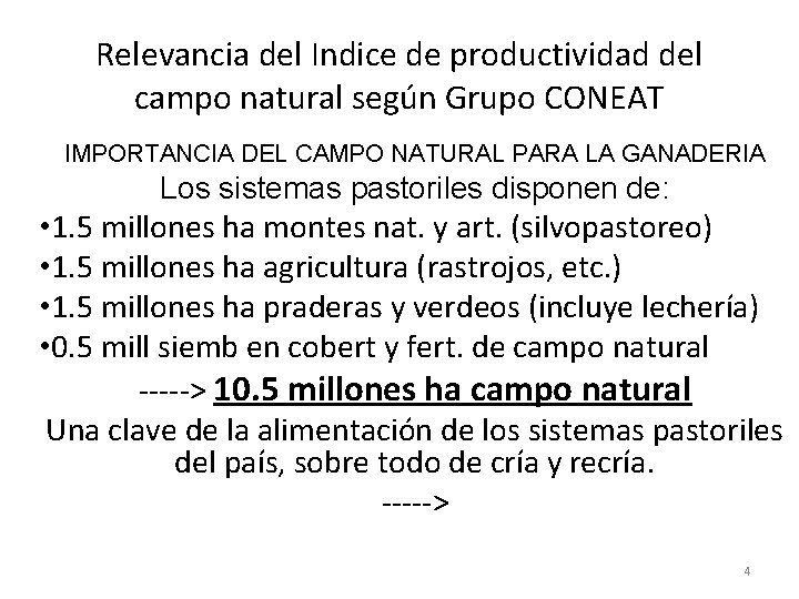 Relevancia del Indice de productividad del campo natural según Grupo CONEAT IMPORTANCIA DEL CAMPO