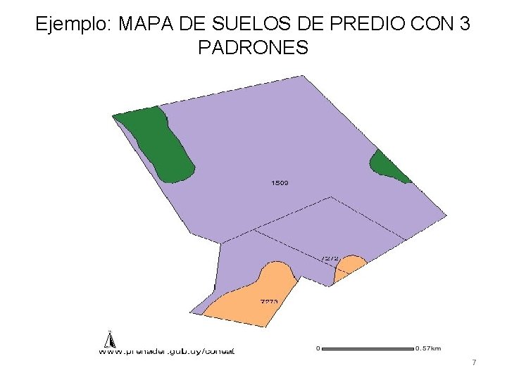 Ejemplo: MAPA DE SUELOS DE PREDIO CON 3 PADRONES 7 