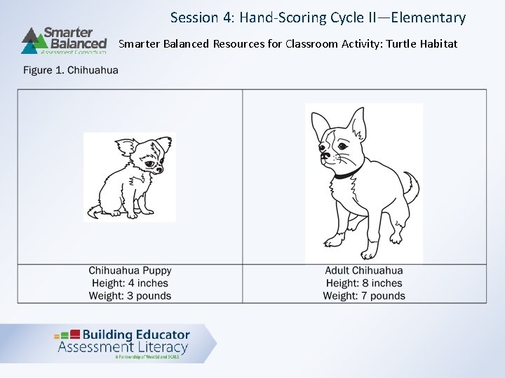 Session 4: Hand-Scoring Cycle II—Elementary Smarter Balanced Resources for Classroom Activity: Turtle Habitat 